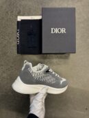 Dior B25 | grijs