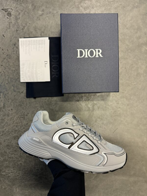 Dior B30 | all grey