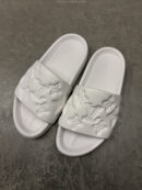 Lv slides | wit