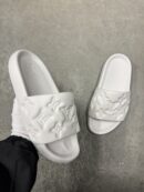 Lv slides | wit