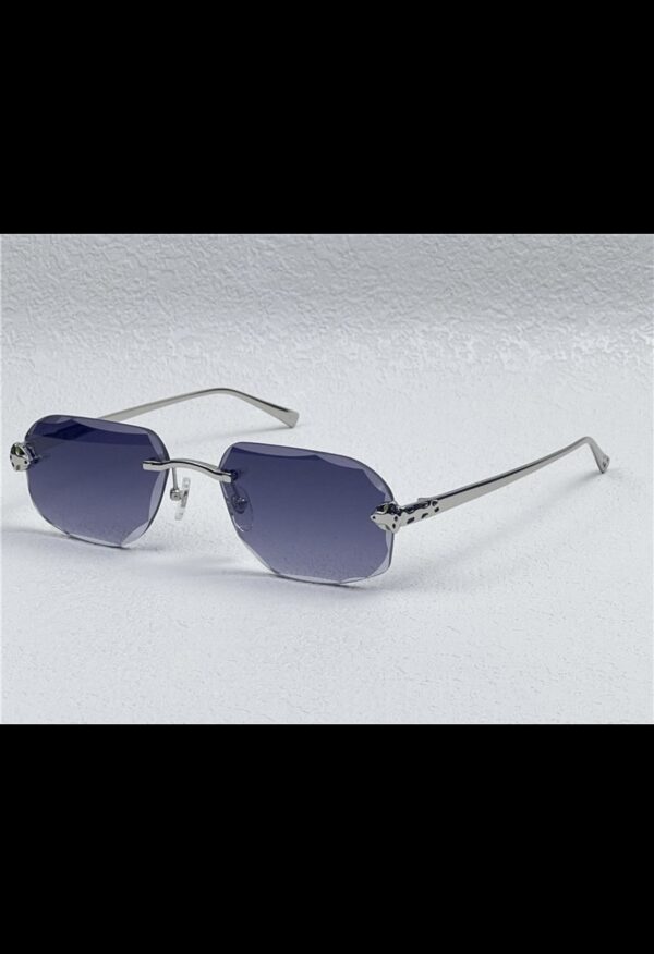 Cartier glasses tgr | silver / blue