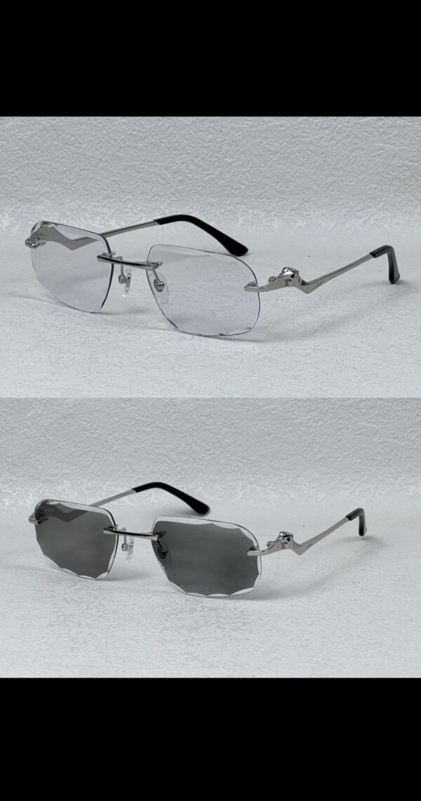 Cartier glasses colour changing | silver / black tiger 2